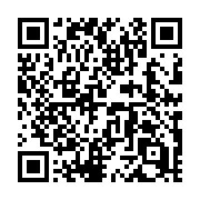 QR code linking to https://deploy-preview-711--hugothemes.netlify.app/themes/docuapi/